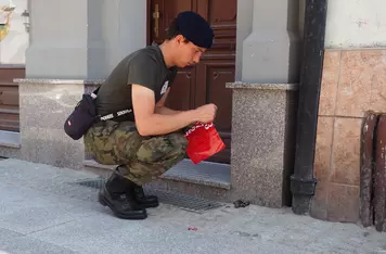 Akcja znakowania psich odchodów na ulicach Chełmna