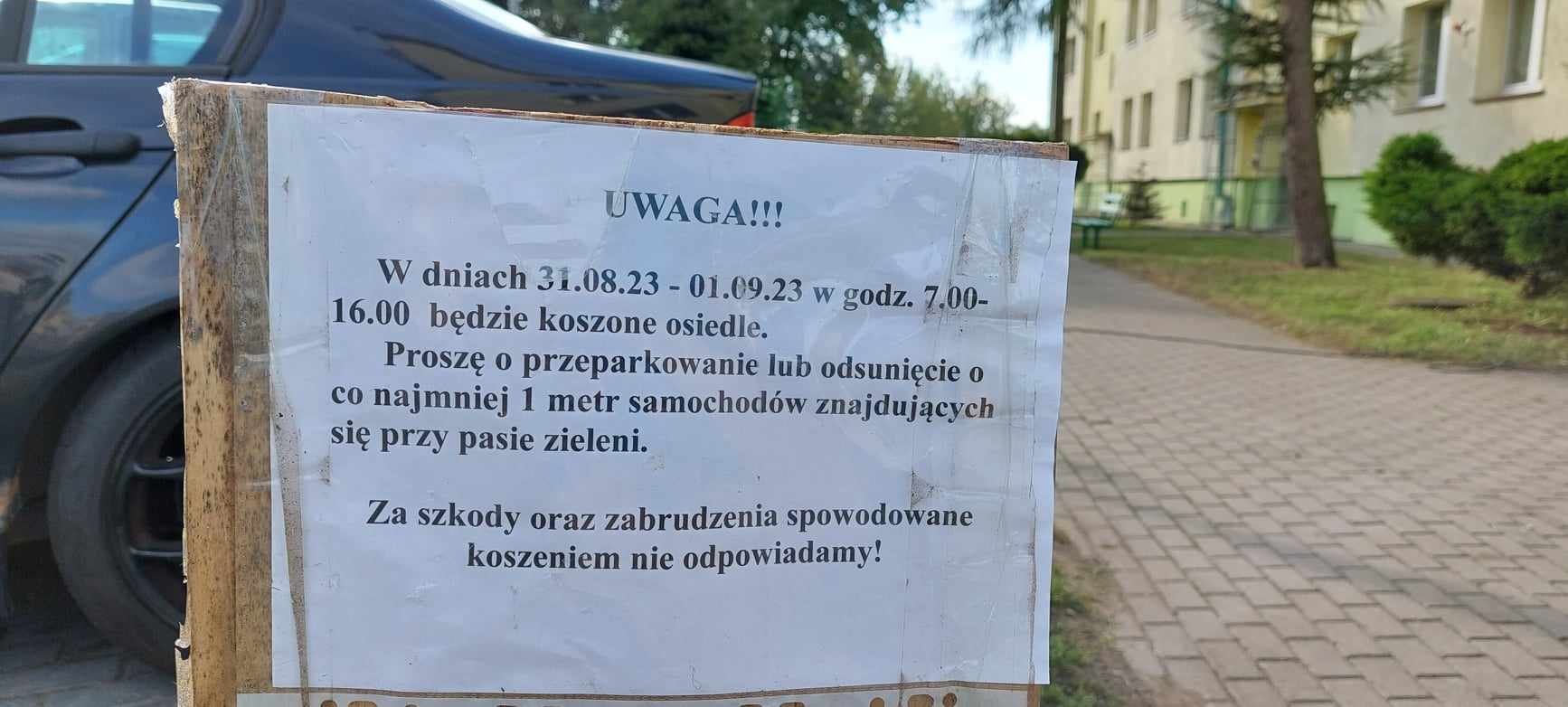 Wykaszanie to dobre określenie na to, co dzieje się z przestrzenią na osiedlu/ Fot. JD