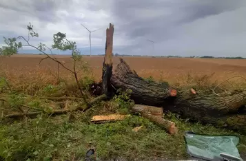 Do tragicznego wypadku doszło w gminie Pruszcz/ Fot. OSP Wałdowo