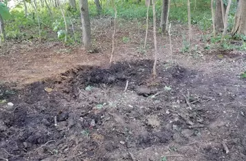 4 tysiące pocisków artyleryjskich znalazł w lesie w Mełnie poszukiwacz zabytków/ Fot. Nadleśnictwo Jamy