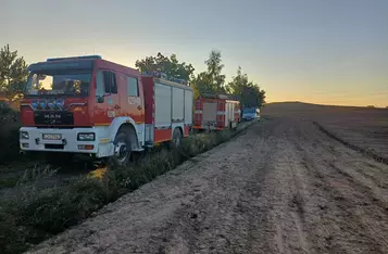 Strażacy przeszukiwali kilkadziesiąt hektarów lasu i kukurydzy/ Fot. OSP Trzebcz Szlachecki