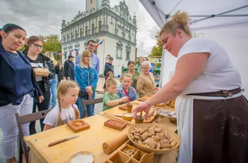 Organek w Chełmnie podczas Pikniku Kultura Nauki i potańcówka/FOT. PITREX