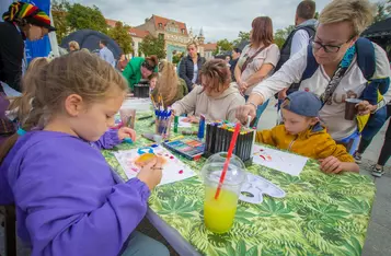 Organek w Chełmnie podczas Pikniku Kultura Nauki i potańcówka/FOT. PITREX