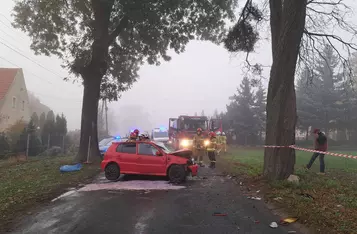 Pod Chełmnem volkswagen polo czołowo uderzył w drzewo/ Fot. KP PSP Chełmno 