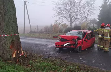 Pod Chełmnem volkswagen polo czołowo uderzył w drzewo/ Fot. KP PSP Chełmno 