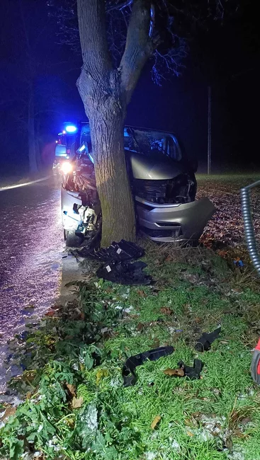 Kierowca busa w Żyglądzie czołowo uderzył w drzewo/ Fot. OSP Papowo Biskupie