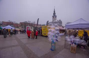 Walentynki 2024 w Chełmnie - mieście zakochanych z zespołem Kwiat Jabłoni/ Fot. PITREX