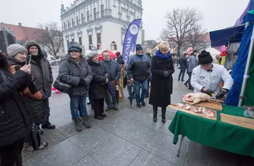 Walentynki 2024 w Chełmnie - mieście zakochanych z zespołem Kwiat Jabłoni/ Fot. PITREX