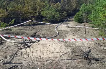 Pożar lasu pod Świeciem to robota dzieci/ Fot. KPP Świecie