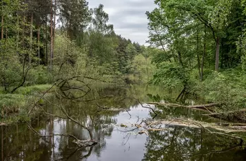 Brodnicki Park Krajobrazowy, fot. Daniel Pach dla UMWKP