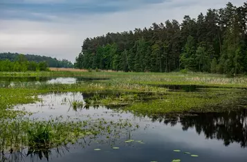 Brodnicki Park Krajobrazowy, fot. Daniel Pach dla UMWKP