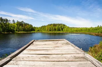 Park Krajobrazowy Góry Łosiowe, fot. Filip Kowalkowski dla UMWKP