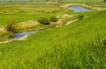 Park Krajobrazowy Góry Łosiowe, fot. Filip Kowalkowski dla UMWKP