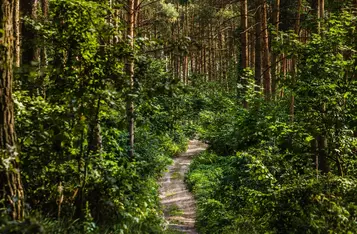 Park Krajobrazowy Góry Łosiowe, fot. Andrzej Goiński/UMWKP