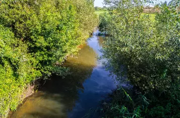 Park Krajobrazowy Góry Łosiowe, fot. Andrzej Goiński/UMWKP