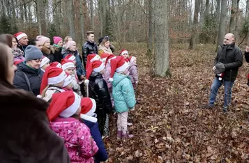 Wybór choinki w Raciniewie fot. Andrzej Goiński/UMWKP