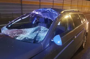 Na A1 pod Chełmnem samochód uderzył w łosia/ Fot. KP PSP Chełmno