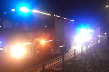 Na A1 pod Chełmnem samochód uderzył w łosia/ Fot. KP PSP Chełmno