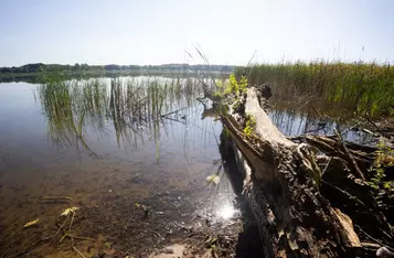 Nadgoplański Park Tysiąclecia, Fot. Mikołaj Kuras dla UMWKP