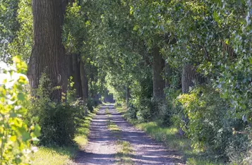 Nadgoplański Park Tysiąclecia, Fot. Mikołaj Kuras dla UMWKP