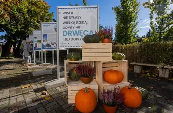 Targi rzeczy smacznych w Muzeum Etnograficznym, fot. Mikołaj Kuras dla UMWKP