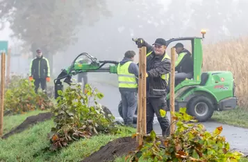 Nasadzenia wzdłuż DW 266, fot. Szymon Zdziebło/tarantoga.pl dla UMWKP