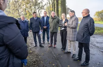 Nasadzenia wzdłuż DW 266, fot. Szymon Zdziebło/tarantoga.pl dla UMWKP