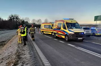 Dachowanie w Osnowie pod Chełmnem/ Fot. KP PSP Chełmno