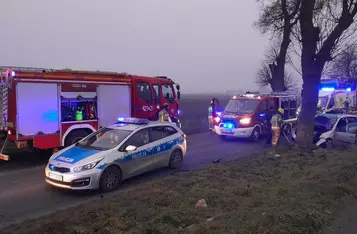 Pod Chełmnem kierowca rozbił auto na drzewie/ Fot. KP PSP Chełmno