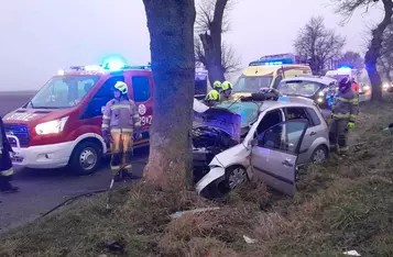 Pod Chełmnem kierowca rozbił auto na drzewie/ Fot. KP PSP Chełmno