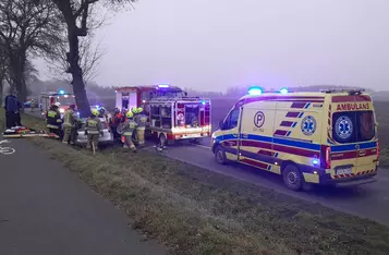 Pod Chełmnem kierowca rozbił auto na drzewie/ Fot. KP PSP Chełmno