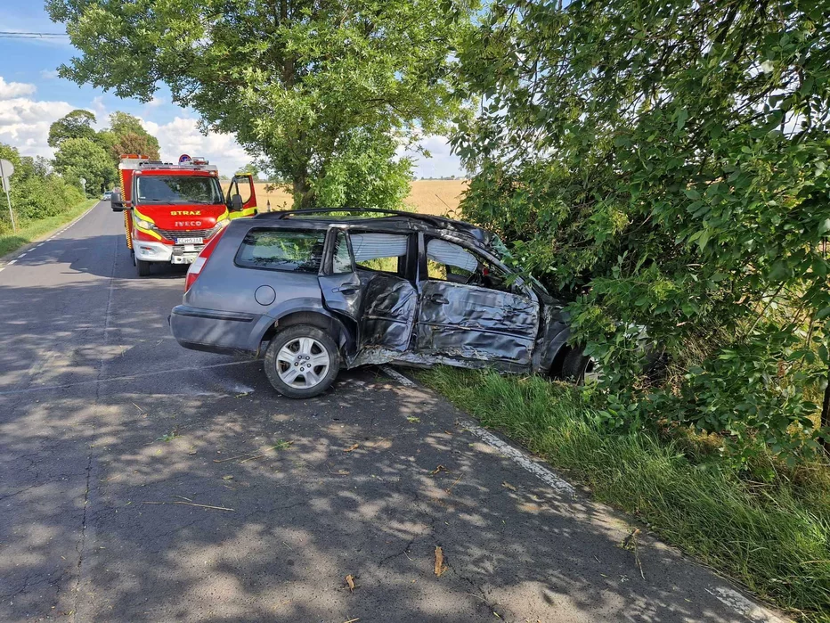 W Papowie Biskupim kierowca forda mondeo uderzył w drzewo