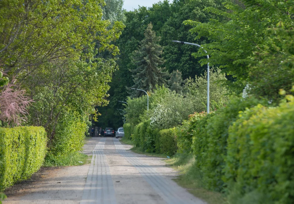 Zwłoki mężczyzny znalazł na działkach w Chełmnie jego znajomy/ Fot.PITREX