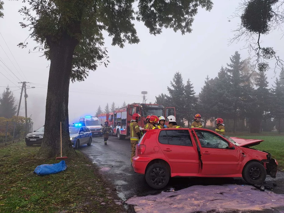 Pod Chełmnem volkswagen polo czołowo uderzył w drzewo/ Fot. KP PSP Chełmno 