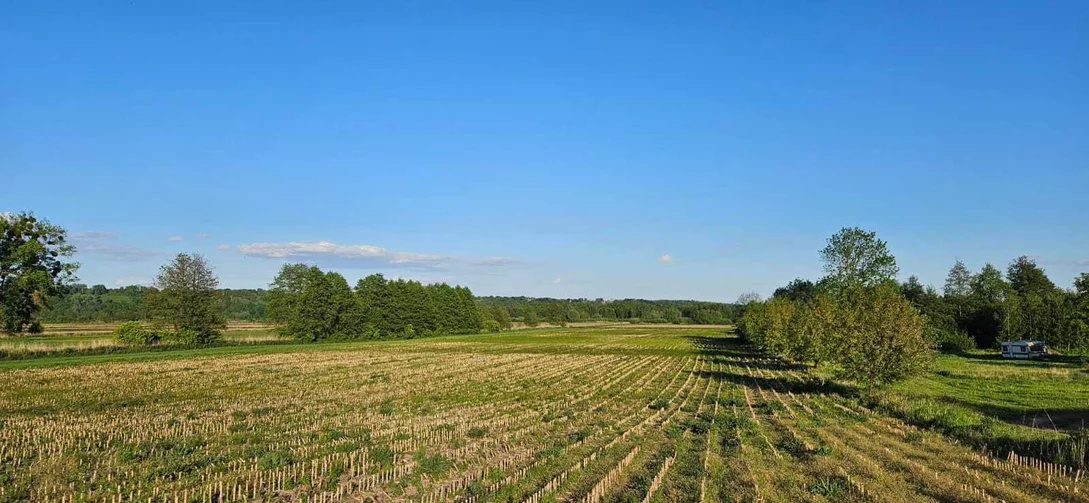 Budowa kilkudziesięciu domów pod Chełmnem podzieliła mieszkańców/ Fot. Nadesłane