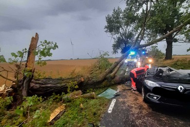 Tragiczne skutki burzy. Nie żyje jedna osoba [ZDJĘCIA]