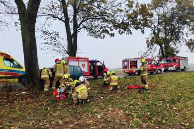 Wypadek pod Chełmnem. Kobieta rozbiła auto na drzewie [ZDJĘCIA]