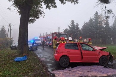 Tragiczny wypadek pod Chełmnem. Nie żyje pasażerka [ZDJĘCIA]