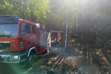 Dzieci rozpaliły ognisko w lesie. Spłonęło 3,5 hektara [ZDJĘCIA]