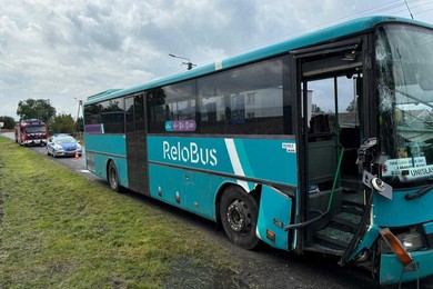 Autobusem uderzyła w drzewo. Była w szoku [ZDJĘCIA]