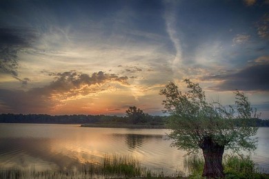 Nadgoplański Park Tysiąclecia. Historia spotyka się tu z przyrodą [ZDĘCIA]