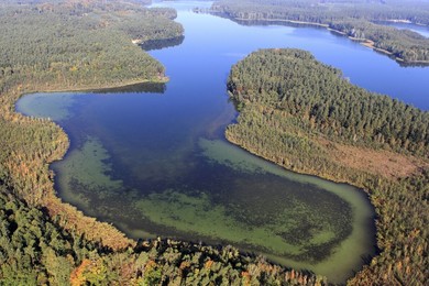 Brodnicki Park Krajobrazowy ma 40 lat [ZDJĘCIA]