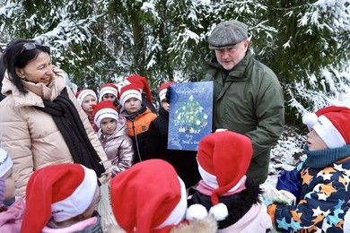 Świąteczne drzewko z lasu w okolicach Raciniewa stoi przed urzędem marszałkowskim [ZDJĘCIA, FILM]